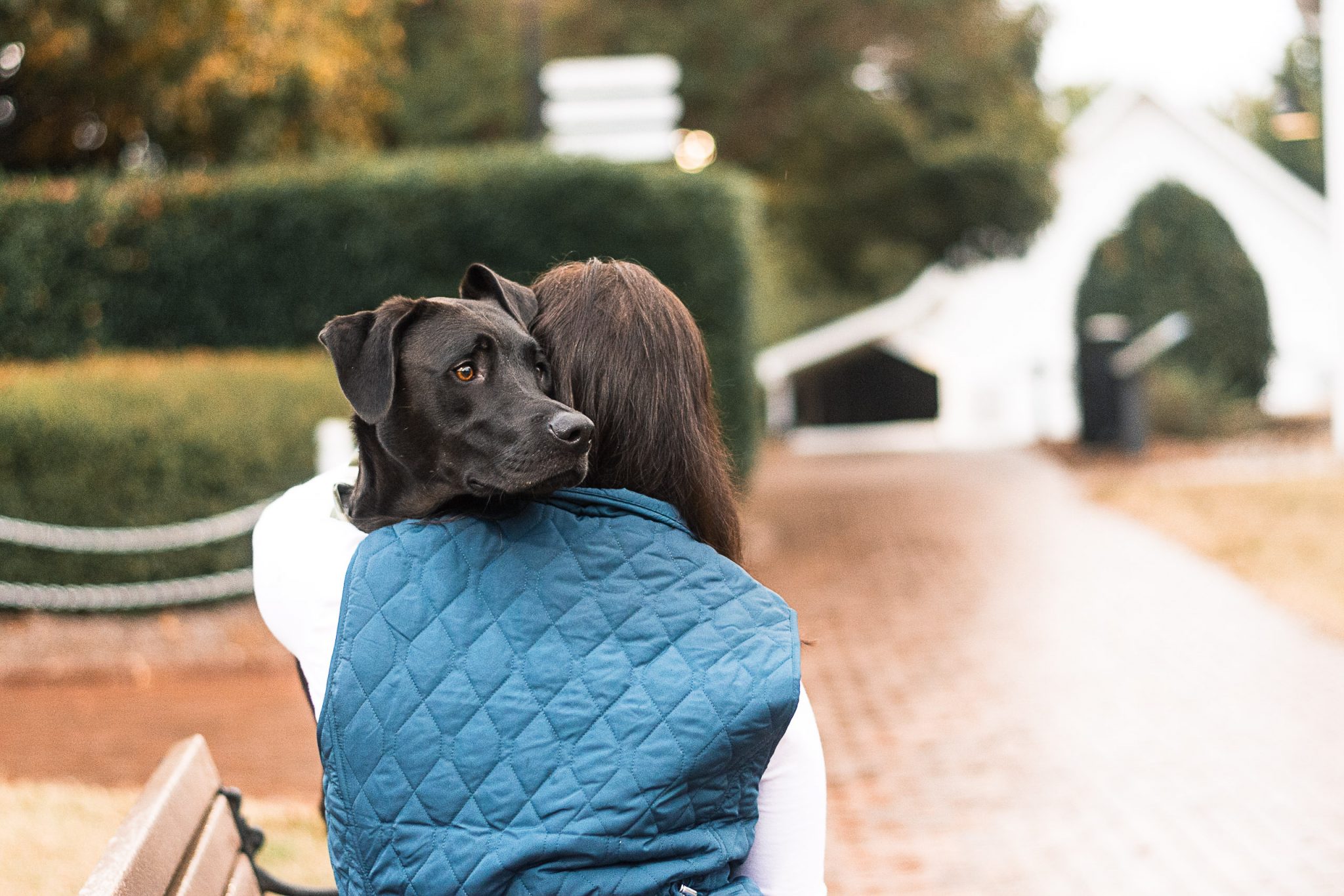 How to Prepare for your Dog's Photo Shoot 10 Tips! Top Raleigh Pet