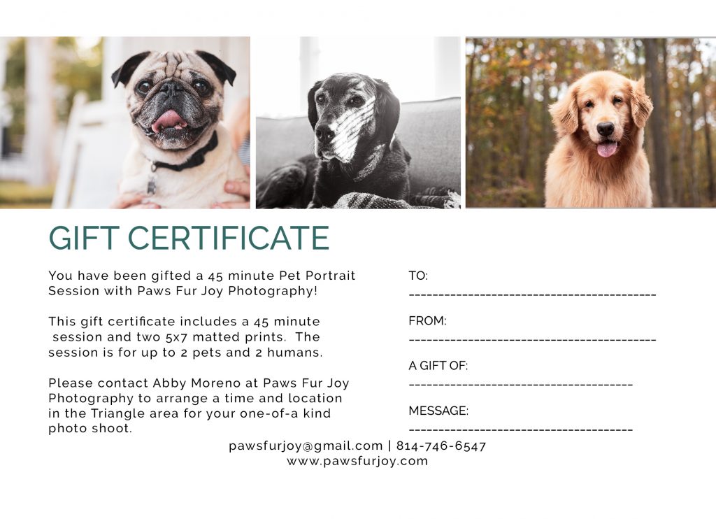 pet photography gift certificate