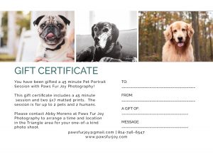pet photography gift certificate 