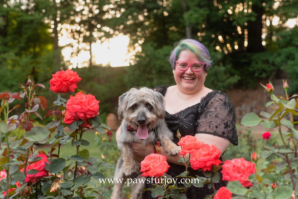 dog in Raleigh rose garden